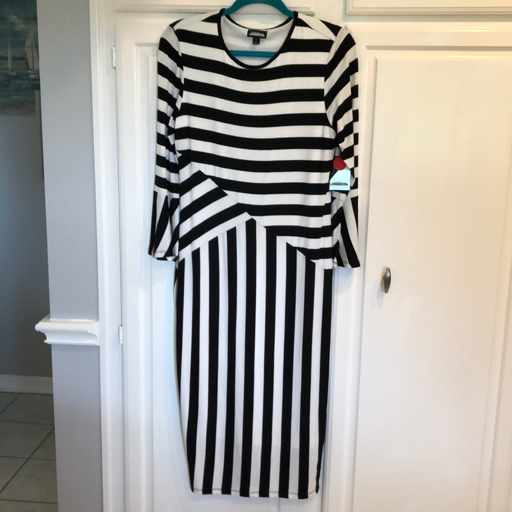 ❤️Project Runway black and white dress❤️